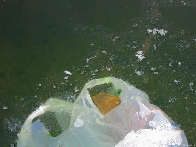 mvr蒸發器